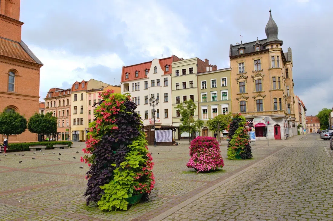 Neustädter Markt (Rynek Nowomiejski), Toruń