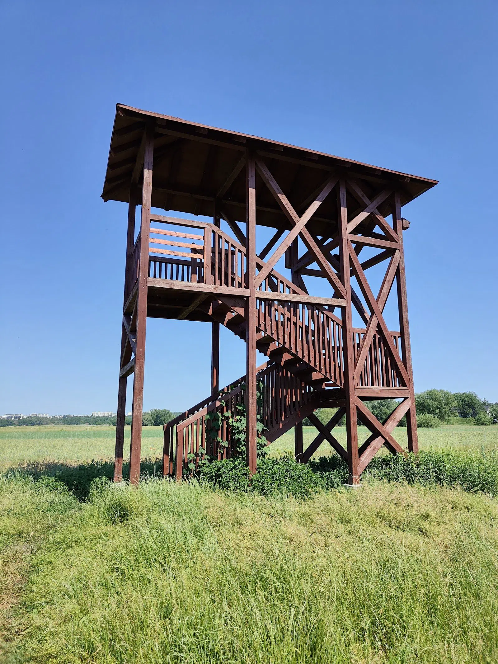 Wieża widokowa przy ujściu Drwęcy (Drwęca-mouth observation tower), Torun